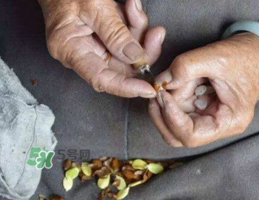 皂角米是怎么剝出來(lái)的？皂角米是酸性還是堿性
