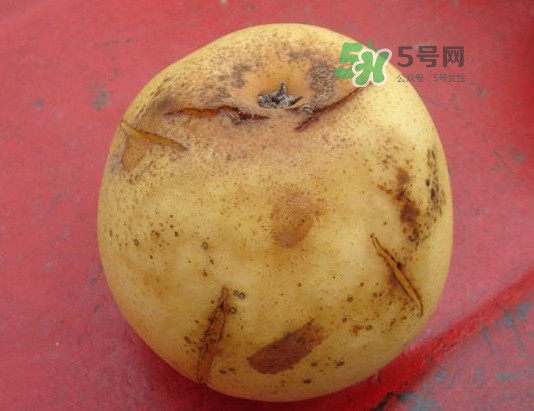 皇冠梨雞爪病能吃嗎？皇冠梨雞爪病怎么辦？