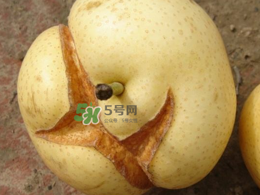 皇冠梨雞爪病能吃嗎？皇冠梨雞爪病怎么辦？