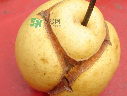 皇冠梨雞爪病能吃嗎？皇冠梨雞爪病怎么辦？