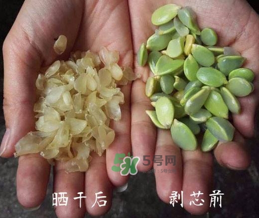 皂角米是什么味道？皂角米是什么顏色