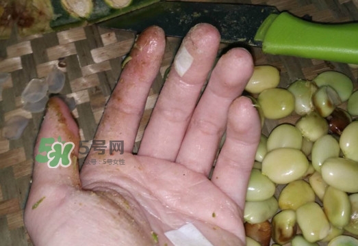 皂角米是怎么剝出來(lái)的？皂角米是酸性還是堿性
