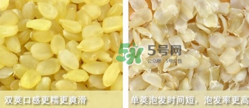 皂角米吃了有什么好處？皂角米的功效與作用