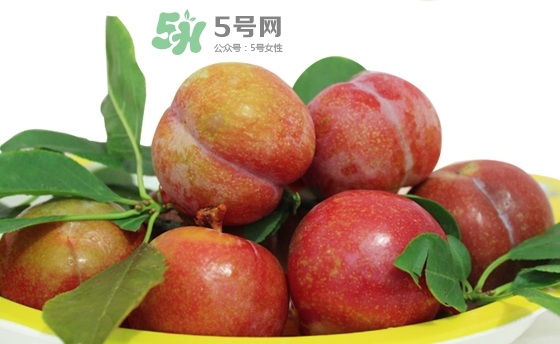 芙蓉李多少錢一斤？芙蓉李價格