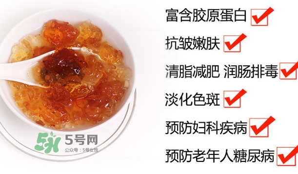 桃膠是桃樹上的膠嗎？桃膠是什么味道