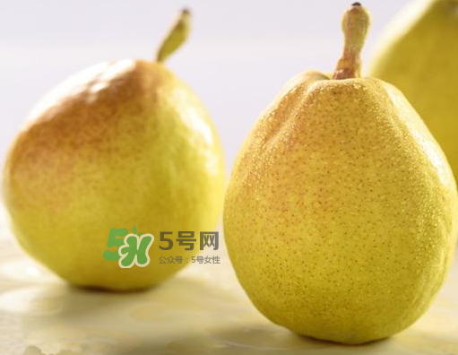 香梨能不能熬冰糖雪梨？香梨可以做冰糖雪梨嗎？