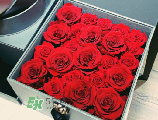 roseonly怎么買？roseonly如何買第二次？