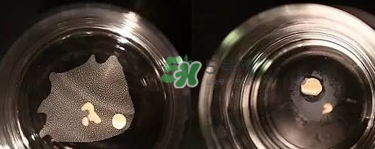 資生堂智能持久粉底液怎么樣？資生堂智能粉底液怎么用