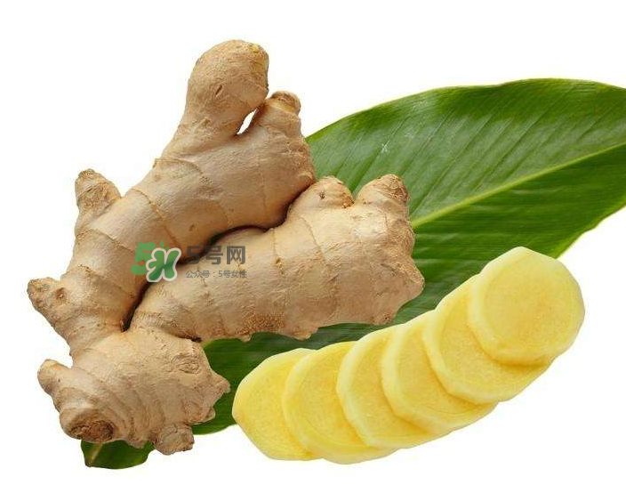 胃病患者可以長期食用生姜嗎？胃不好能不能吃姜？
