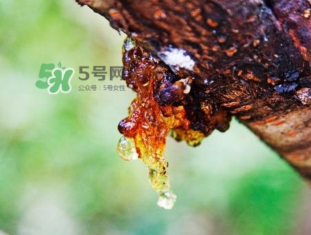 桃膠是發(fā)物嗎？桃膠是中藥嗎