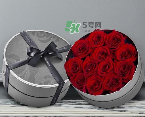 roseonly怎么讀？roseonly怎么讀在線讀？