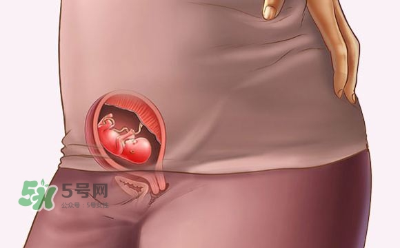 孕期尿頻什么時候開始？孕期尿頻特別嚴重