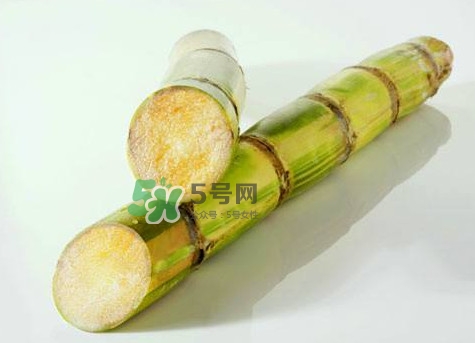 甘蔗是哪里的特產(chǎn)？甘蔗是什么地方的特產(chǎn)