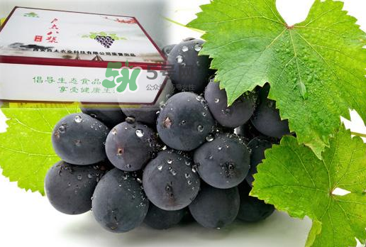 戶太八號(hào)什么時(shí)候成熟？戶太八號(hào)幾月份成熟？