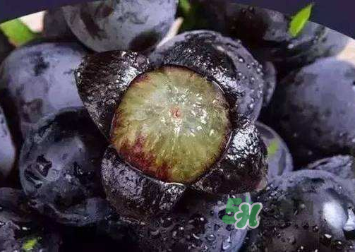 戶太八號多少錢一斤？戶太八號為什么在全國很有名？