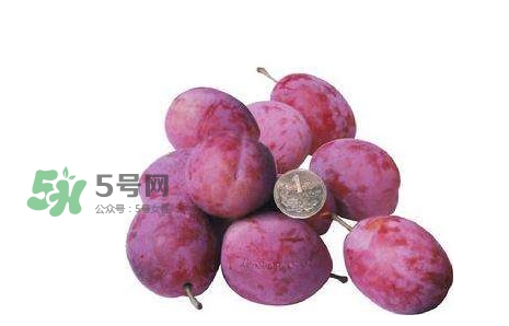 西梅什么時候上市？新疆西梅什么時候上市