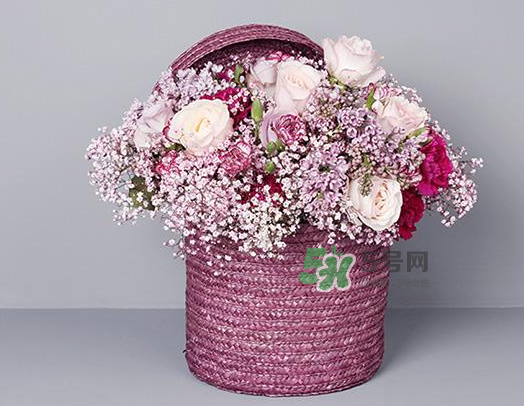 野獸派和roseonly哪個(gè)好？野獸派和roseonly區(qū)別
