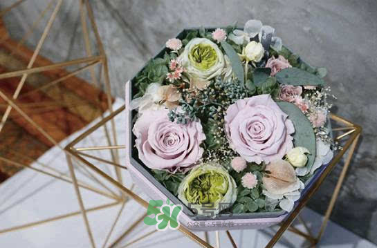 野獸派永生花會死嗎？野獸派永生花是什么？