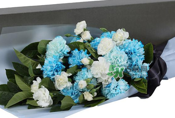 joyflower是哪國(guó)品牌？joyflower怎么樣？