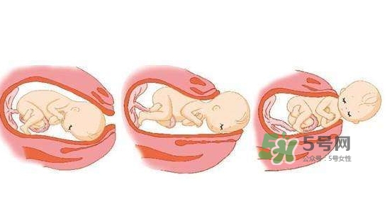 胎兒什么時候入盆？胎兒入盆后胎動會減少嗎？