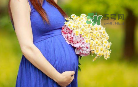 孕婦可以拔牙嗎？孕婦可以拔智齒嗎？