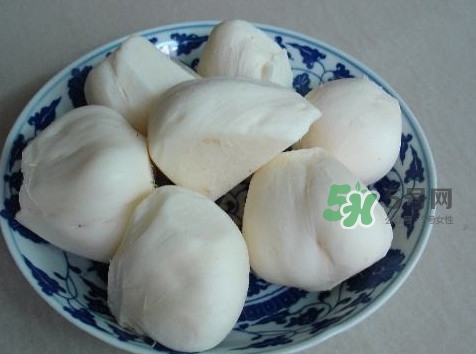 涼薯是什么東西？涼薯是地瓜嗎？