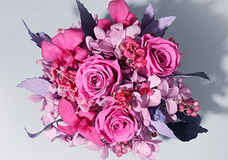 joyflower是哪國(guó)品牌？joyflower怎么樣？