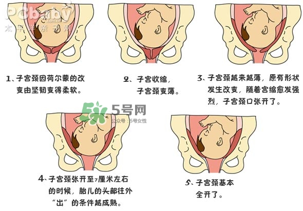 生孩子的過(guò)程是怎樣的？生孩子的真實(shí)過(guò)程