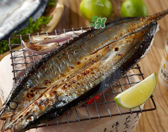 秋刀魚有刺嗎？秋刀魚刺多嗎？