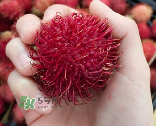 紅毛丹是什么水果？紅毛丹是熱性水果嗎？