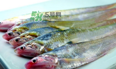 刁子魚是秋刀魚嗎？刁子魚是海魚嗎？
