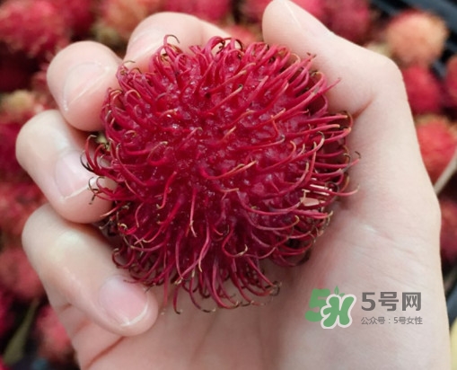 吃紅毛丹對身體有什么好處？紅毛丹有什么營養(yǎng)價值