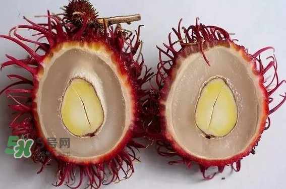 紅毛丹的核可以種嗎？紅毛丹的核怎么種