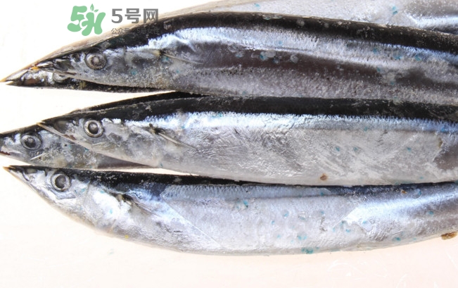 秋刀魚是海魚嗎？秋刀魚是淡水魚還是海魚