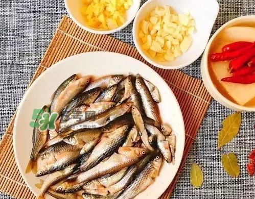 刁子魚多少錢一斤？刁子魚價格表
