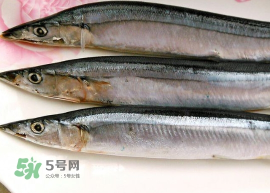 秋刀魚是不是鲅魚？秋刀魚和鲅魚的區(qū)別