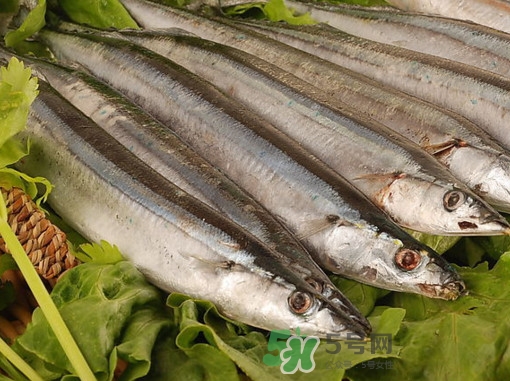 秋刀魚為什么那么便宜？秋刀魚為什么叫秋刀魚