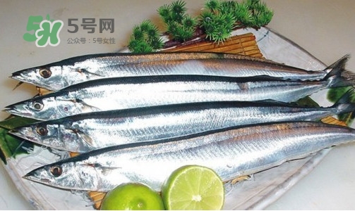 沙丁魚和秋刀魚有什么不一樣？秋刀魚和沙丁魚的區(qū)別