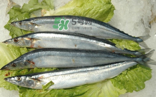 秋刀魚有魚鱗嗎？秋刀魚有寄生蟲嗎