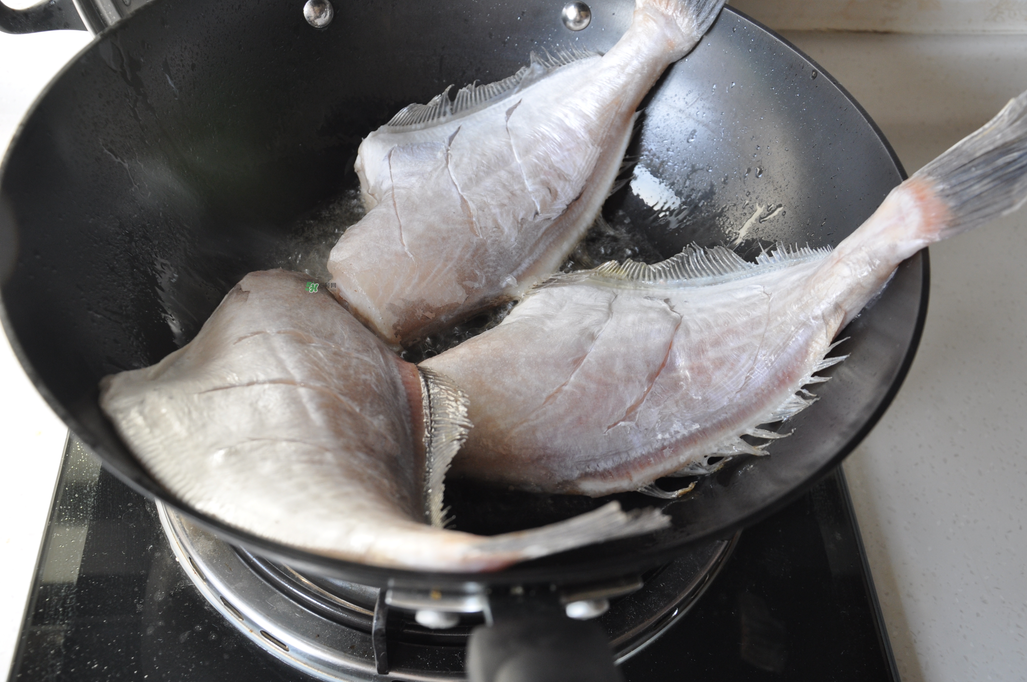 剝皮魚(yú)孕婦可以吃嗎？懷孕可以吃剝皮魚(yú)嗎？