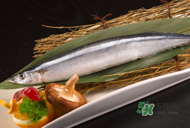 秋刀魚是不是鲅魚？秋刀魚和鲅魚的區(qū)別