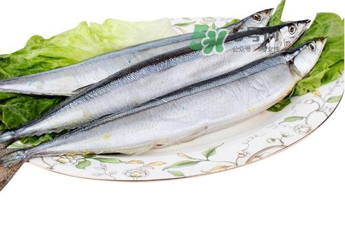 秋刀魚是海魚嗎？秋刀魚是淡水魚還是海魚