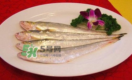 秋刀魚是刀魚嗎？秋刀魚和刀魚的區(qū)別
