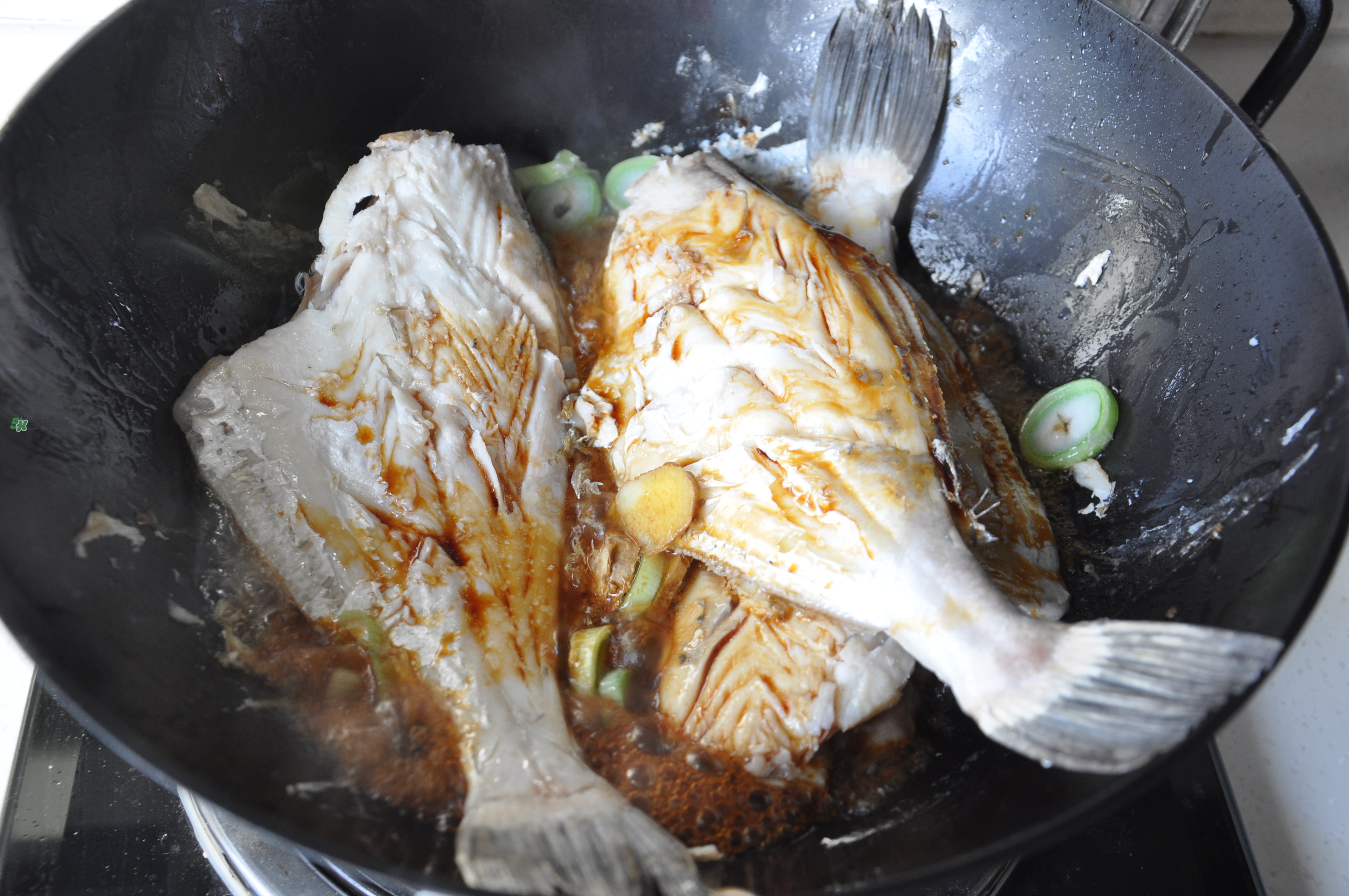 剝皮魚(yú)孕婦可以吃嗎？懷孕可以吃剝皮魚(yú)嗎？