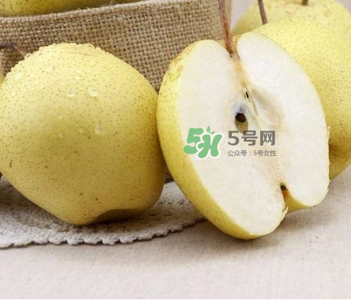 雪花梨什么時(shí)候成熟？雪花梨幾月份成熟？