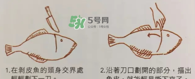 剝皮魚為什么要?jiǎng)兤ぃ縿兤~的皮有毒嗎？