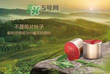 小罐茶是什么茶？小罐茶是哪八種茶？