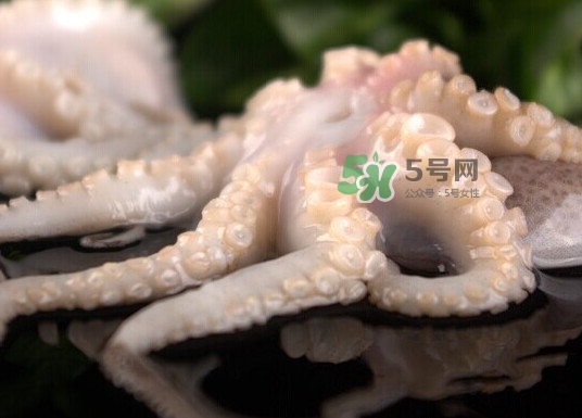 章魚有幾只腳？章魚有幾個(gè)爪子