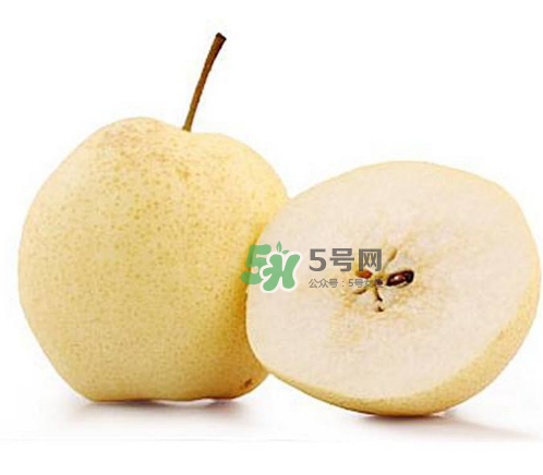 貢梨是雪梨嗎？貢梨和雪梨的區(qū)別