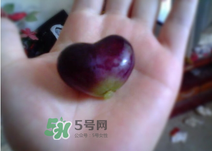 心形葡萄能吃嗎？心形葡萄和普通葡萄的區(qū)別